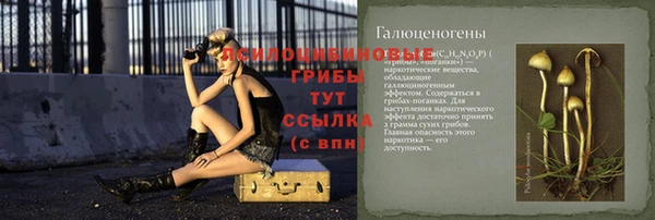 дживик Белоозёрский