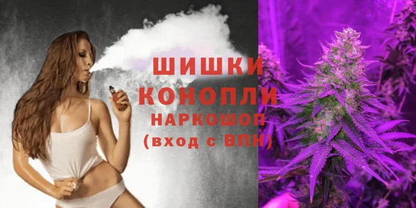 тгк Богданович